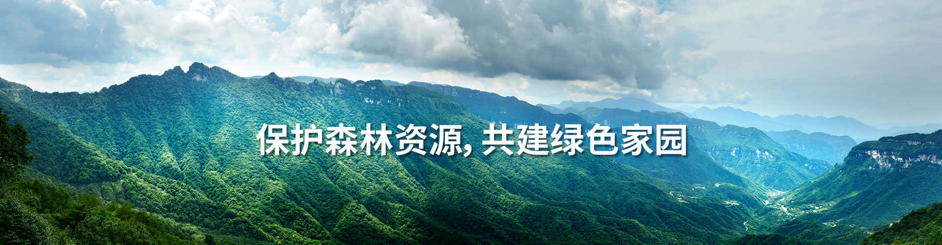 金鷹為您解答森林資源進(jìn)行資產(chǎn)評估的重要性！